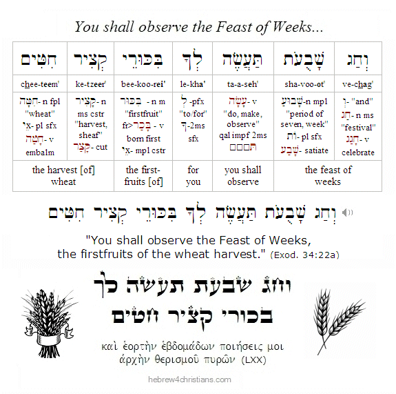 Exodus 34:22 Hebrew