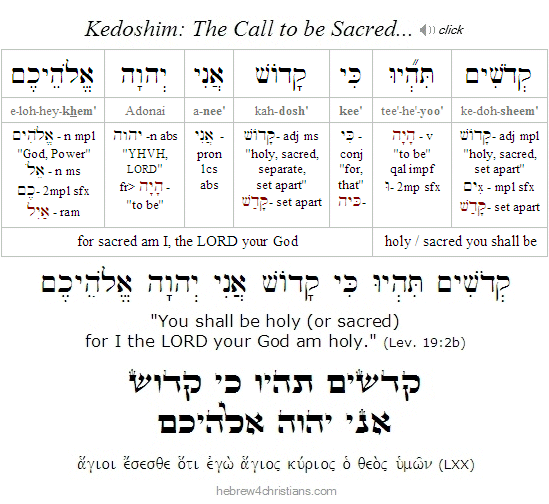 Leviticus 19:2b Hebrew Lesson