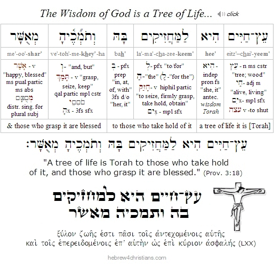 Proverbs 3:18 Hebrew Lesson