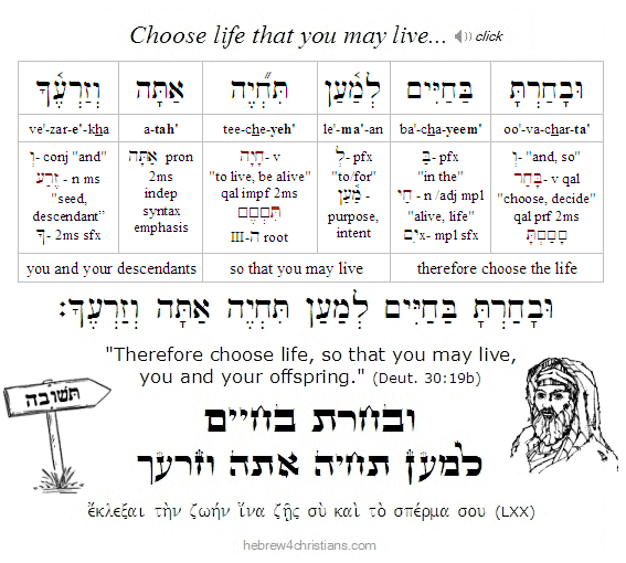 Deut 30:19 Hebrew Lesson