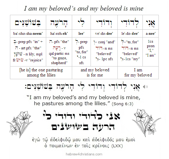 Song 6:3 Hebrew Reading Lesson