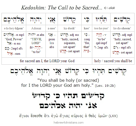 Leviticus 19:2b Hebrew Analysis